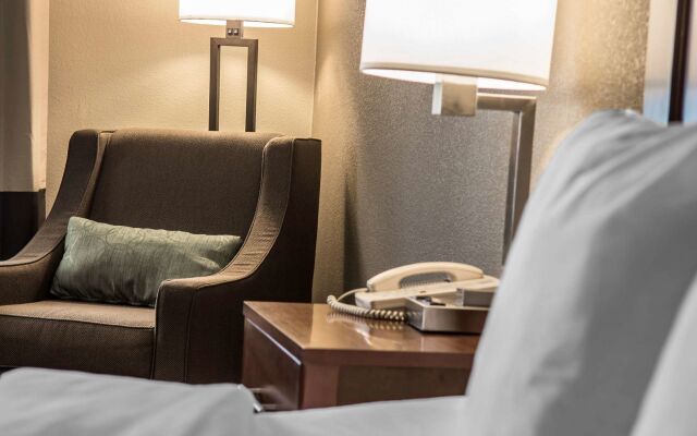 Comfort Inn Edinburg