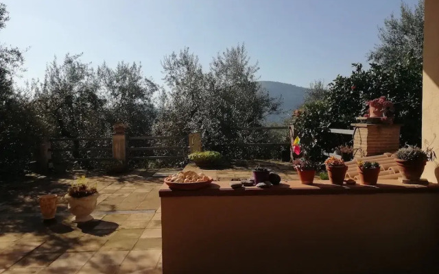 Villa Regina