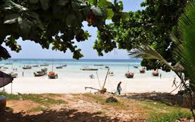 Tuna Lodge