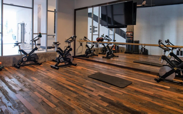 Stay Alfred at Dylan