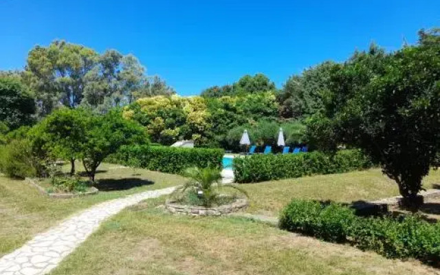 Lemontree Apartments