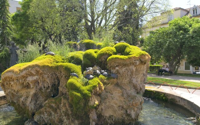 Apartments and Rooms Adriatic Suites