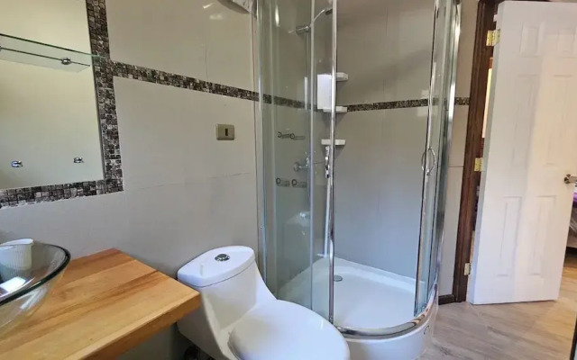 Oceana Suites Corralco