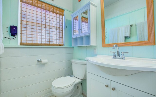 Driftwood Beach Oasis