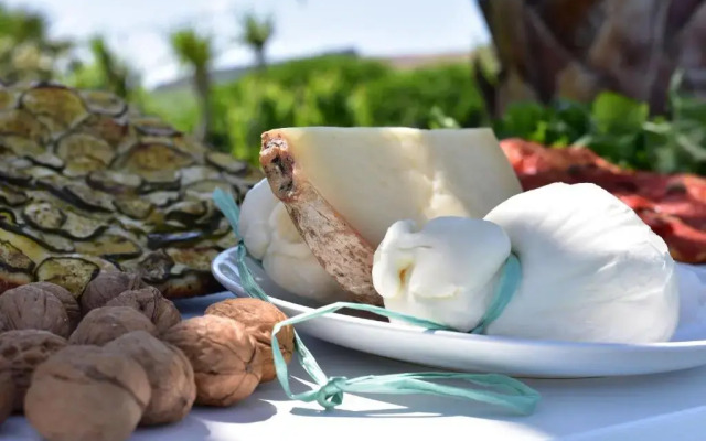 AgrIGINO Villa Riccardi