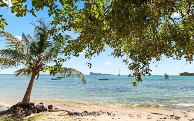 Grand Bay Heights C8