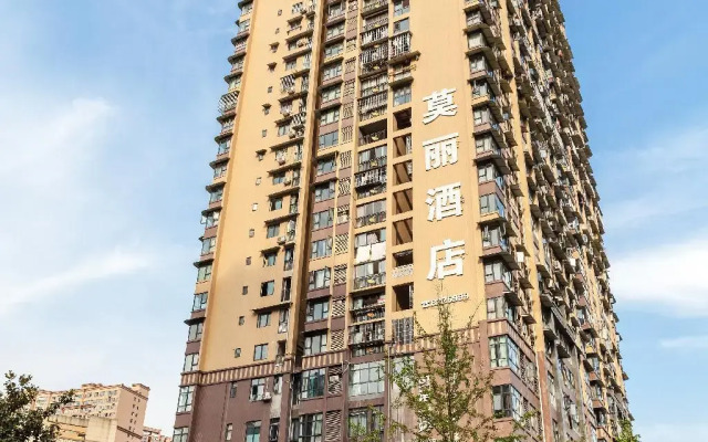 Elan Inn Zigong Molly