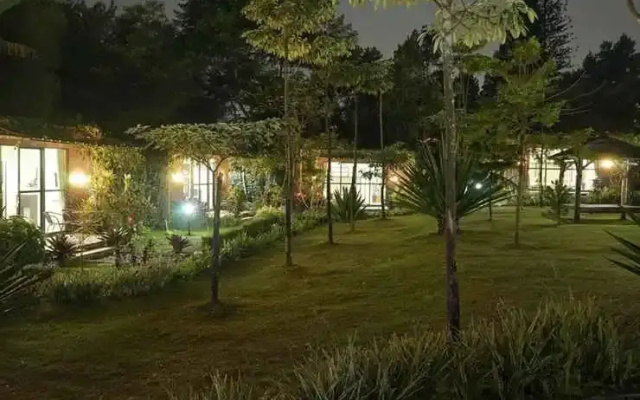 The Forest @cisarua