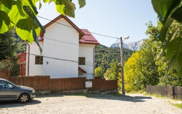 Vila de vacanta Alma Azuga