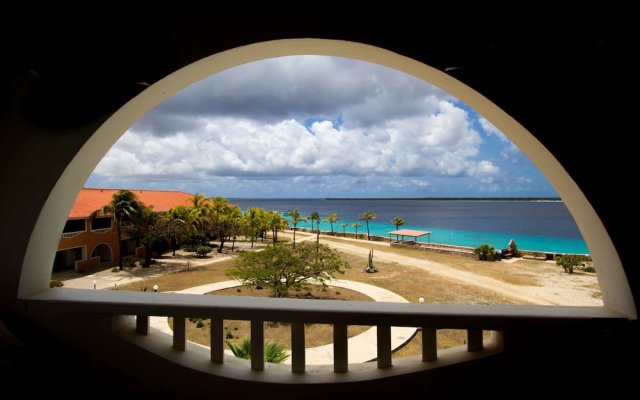 Sand Dollar Bonaire