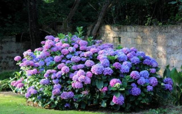 Chambre dHôtes au Sargaillon