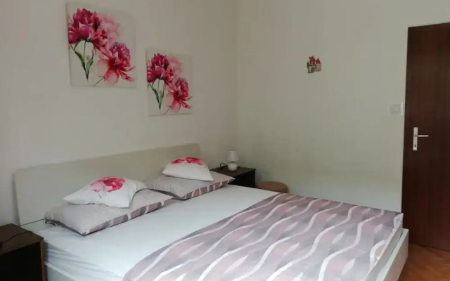 Apartmani Ani
