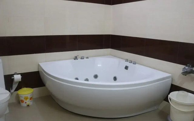 Hotel Shakti Palace