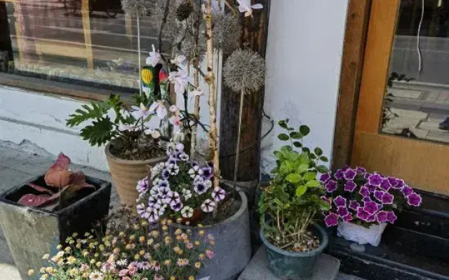 Wuzhwen Yuyue Homestay
