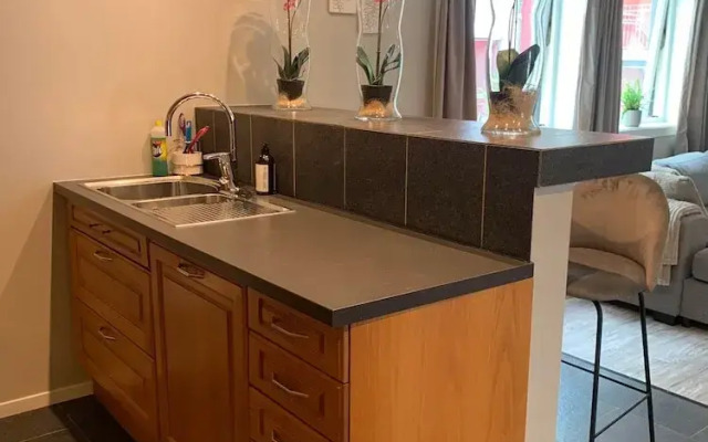 Notodden Sentrum Apartment NO 8