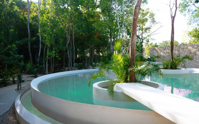 Seremonia Studios by Soyrumi