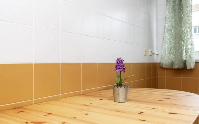 Olaias Design by Homing