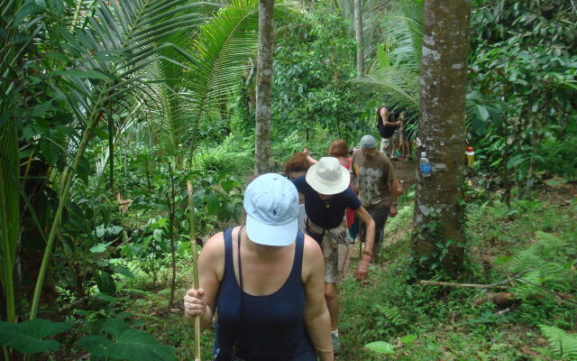 Cempaka Belimbing Villas