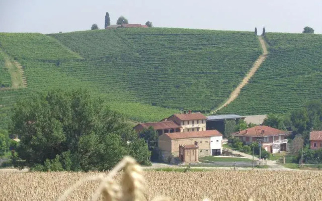 GranCollina