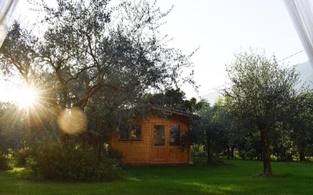 BeeHouse - La Casa delle Api Agriturismo