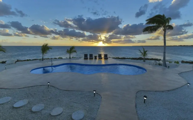 Friendsgiving Island