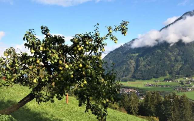 Gangerhof (KAB208)