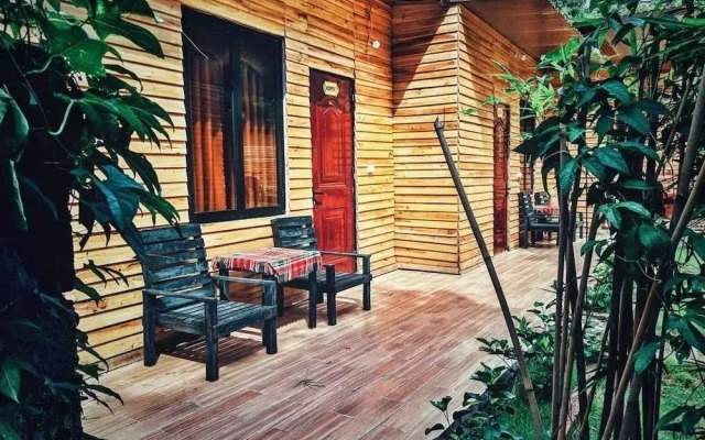 The Art - Golden Jungle House