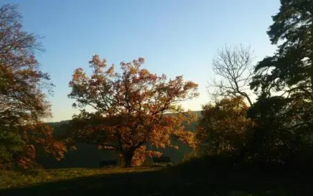 Berghaus Knopfmacher