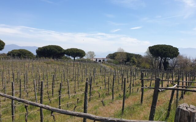 Room-apartment Pompeii Rendine