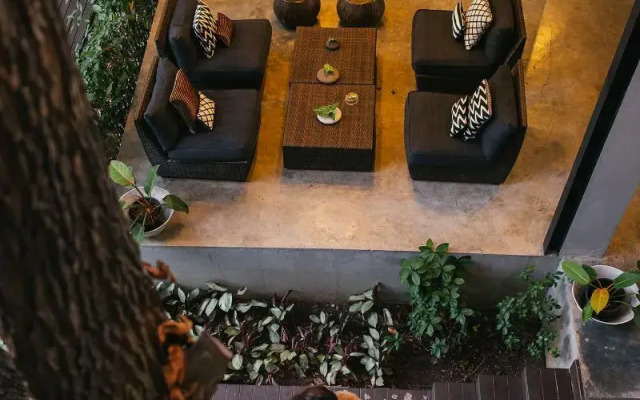 Ketawa Pet Friendly Hotel