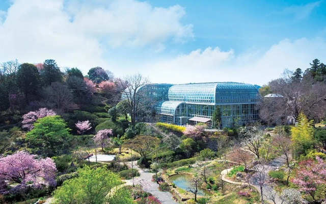 The Crown Palais New Hankyu Kochi