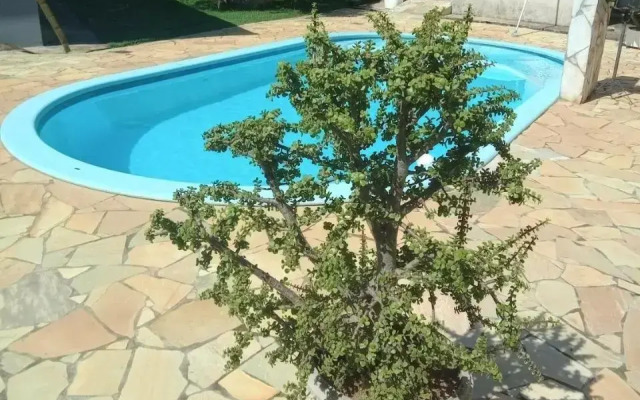 Paraíso da Mata