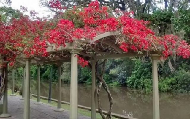 Palmas de la Bahia Cozy Flat 2 rooms 2 baths