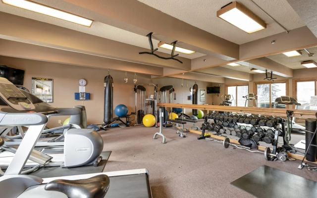 Central Aspen Condo Walk to Gondola & Ruby Park - LC5