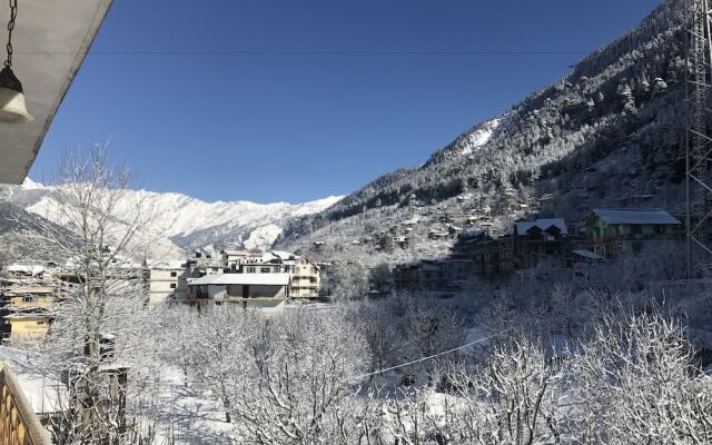 Paradise Evergreen