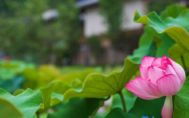 Howard Johnson Huashuiwan Hot Springs Resort Chengdu