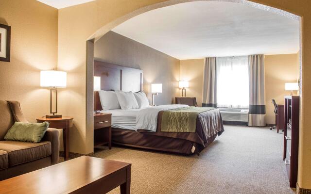 Comfort Inn Edinburg South