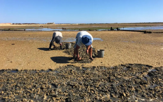 Bordoy Grand House Algarve