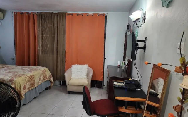 Gated Studio By The Pavillian Mall Near US Embassy Liguanea Kingston
