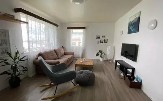 Private Scandinavian Apartment
