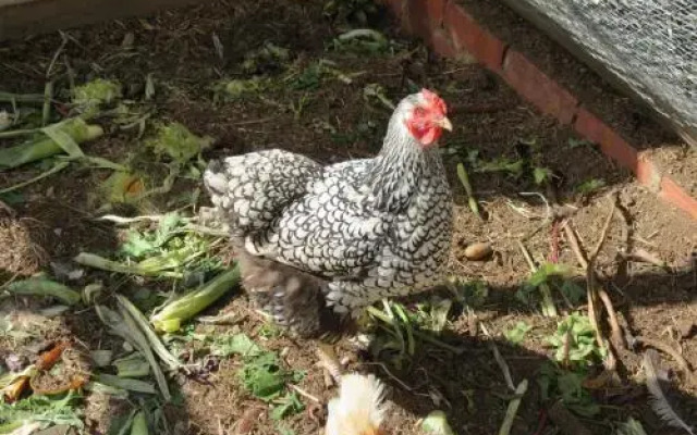 Butterworth Accommodation