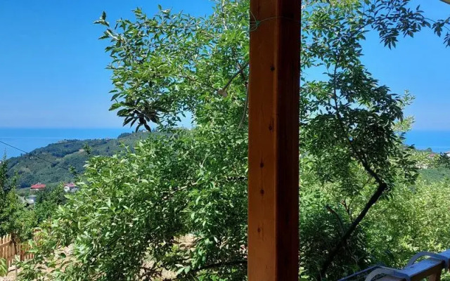 Trabzon Çaml?ca Bungalov