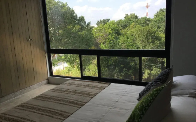 Casa Patrones