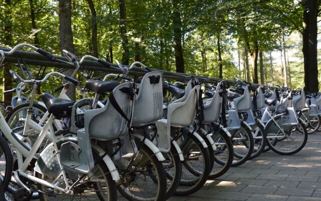 Spacious Chalet in Garderen with Fenced Garden