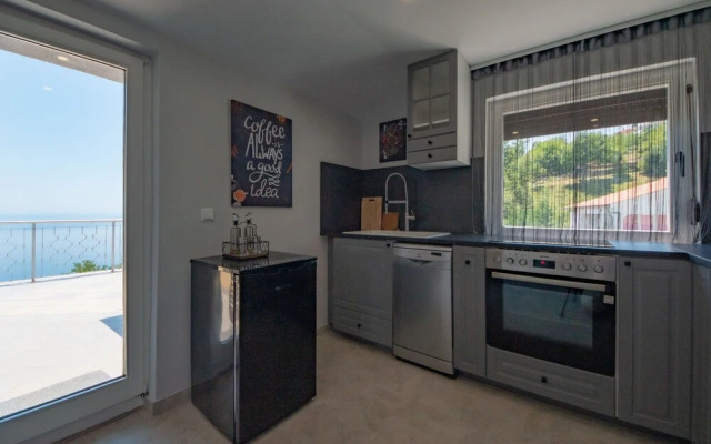 Laurus Tuli Evica in Tuli Evica