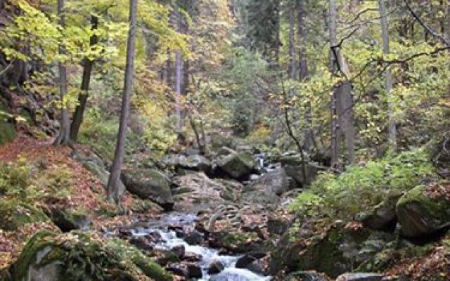 Kurpark-Hotel Im Ilsetal