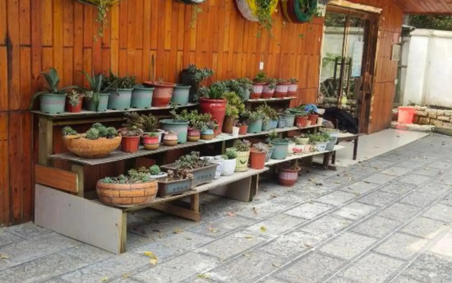 Xiaoxi Hostel