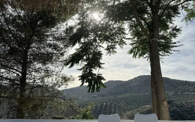 Vista Las Colinas in Izn jar