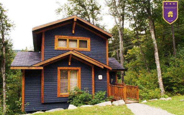 Chalets Alpins- 18 Chemin Alpin