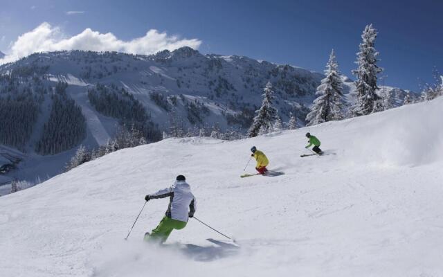 Flat Near the ski Area in Mayrhofen